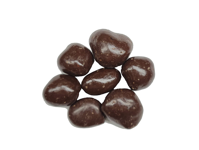 DARK CHOCOLATE CRANBERRIES